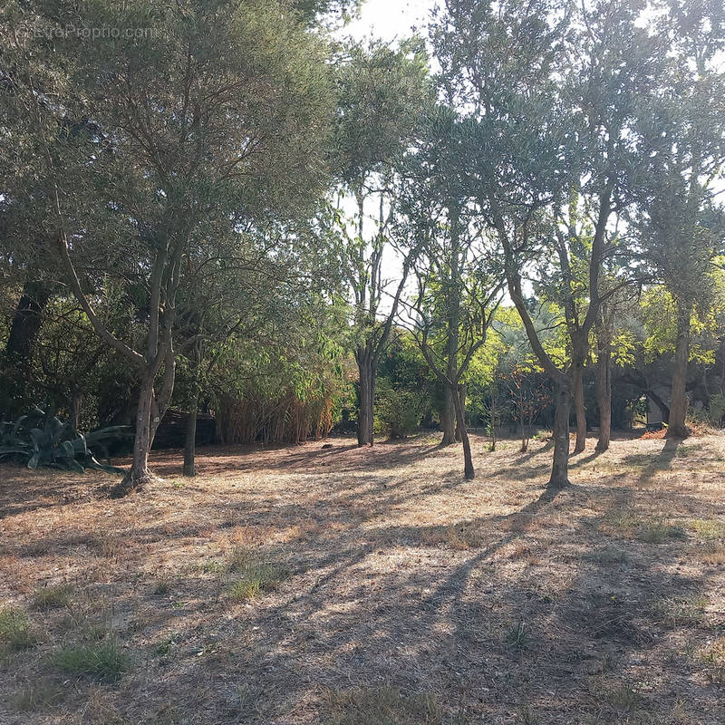 Terrain à CAUMONT-SUR-DURANCE