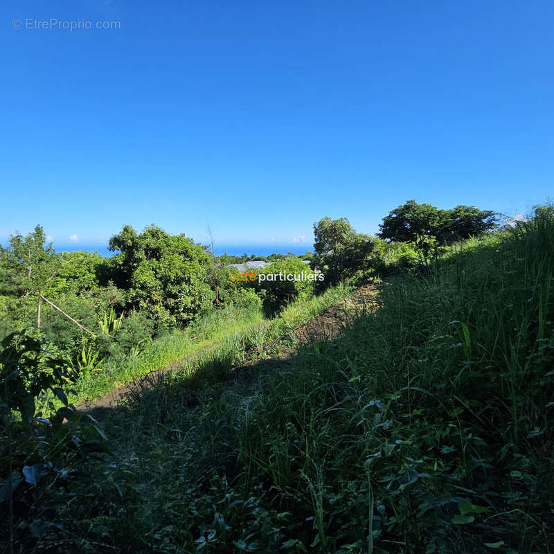 Terrain à SAINT-PAUL