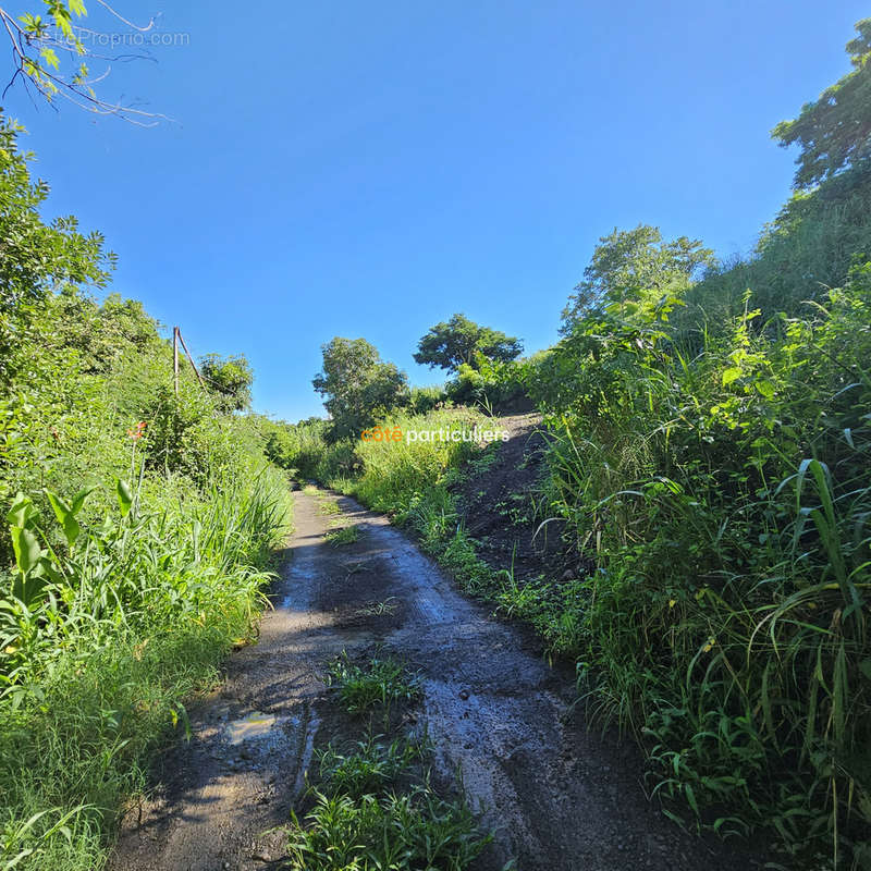 Terrain à SAINT-PAUL