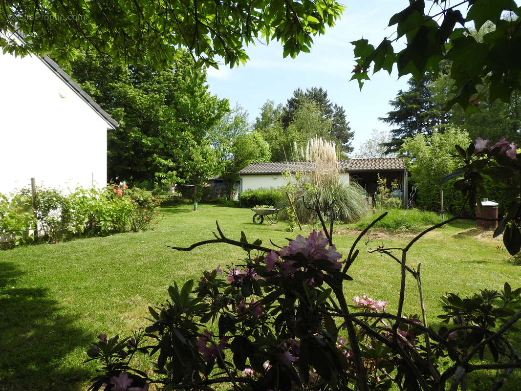 Maison à FEROLLES-ATTILLY