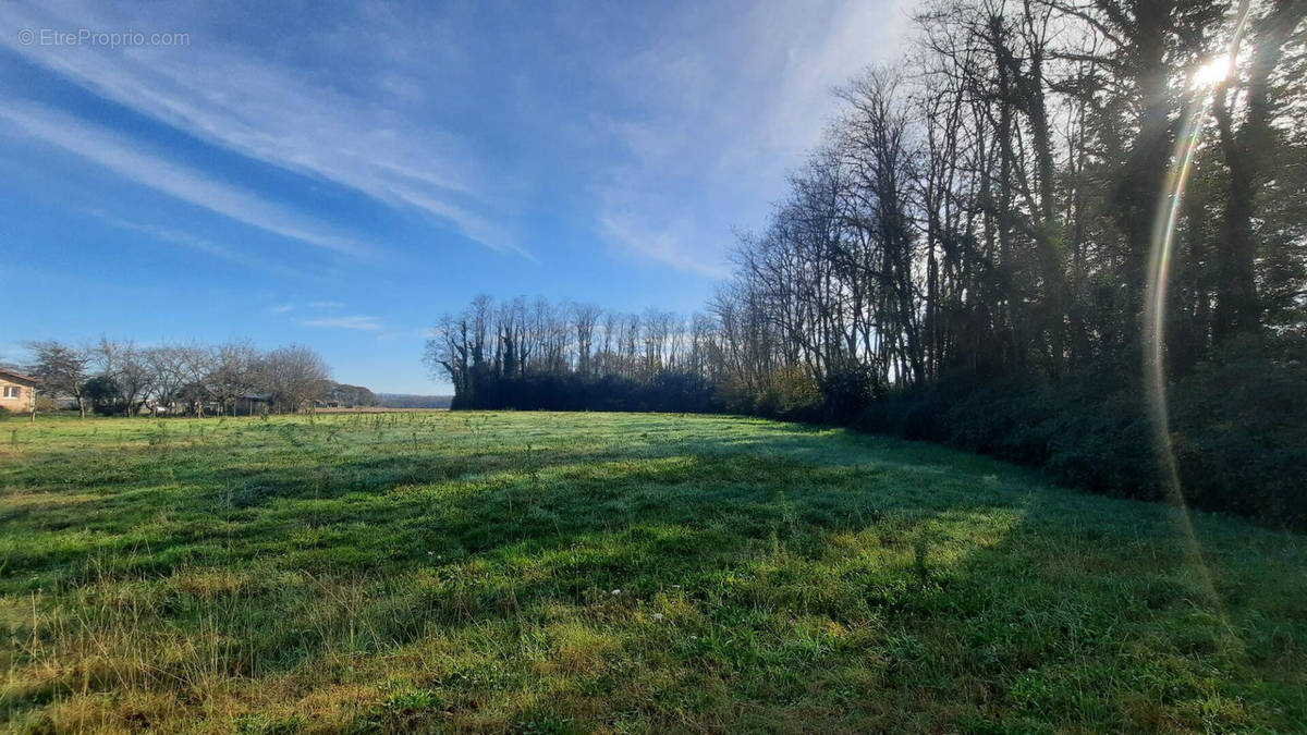 Terrain à JOSSE