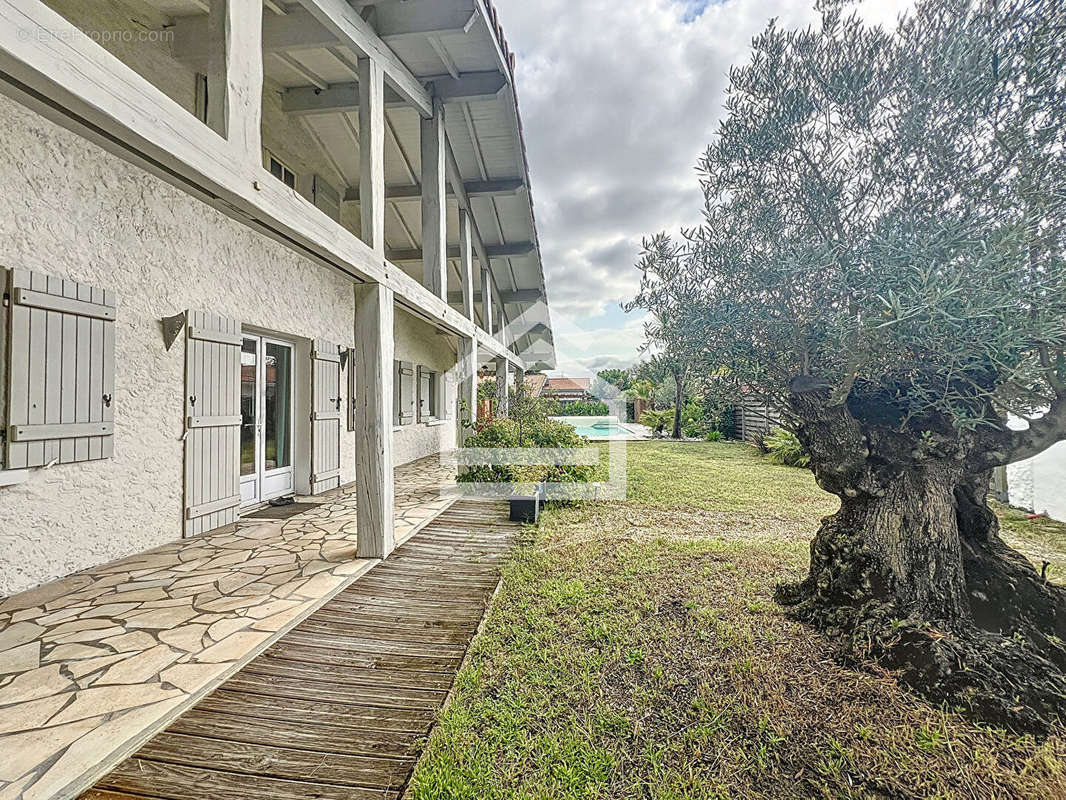 Maison à LEGE-CAP-FERRET