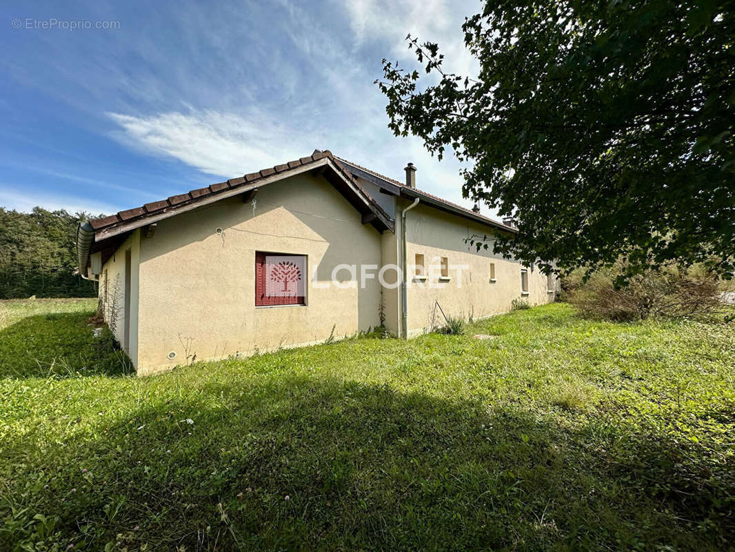 Maison à SAINT-NIZIER-LE-DESERT