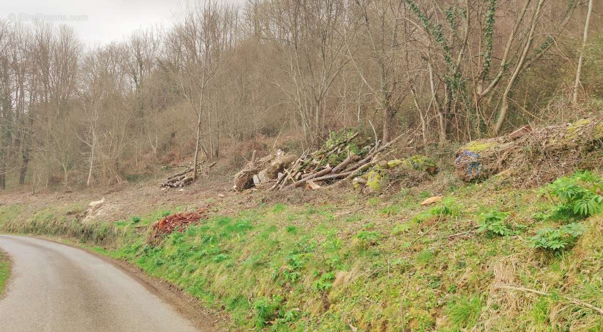 Terrain à SENTENAC-DE-SEROU