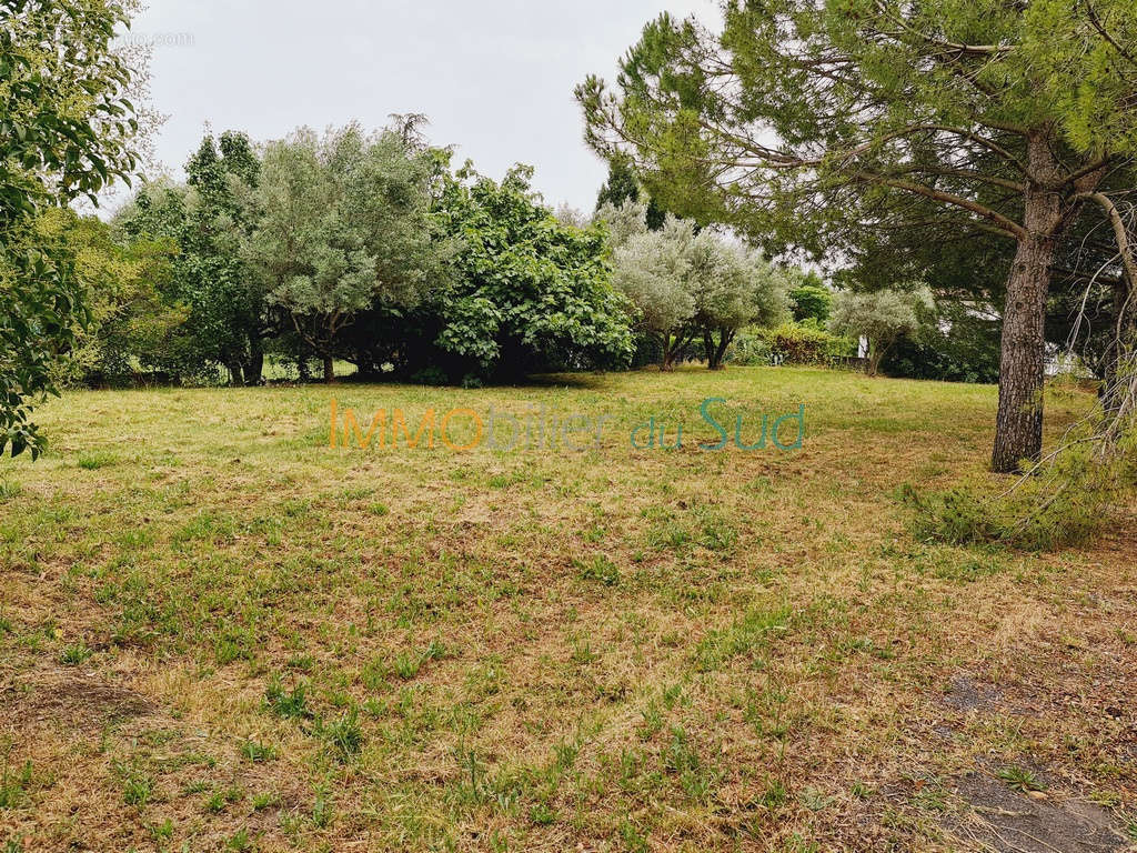 Terrain à SAINT-JEAN-DE-SERRES