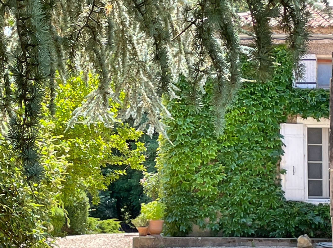 Maison à SAINT-EMILION