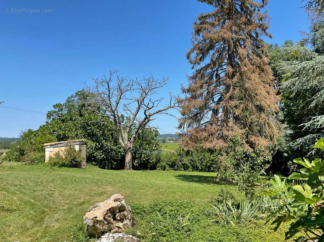 Maison à SAINT-EMILION