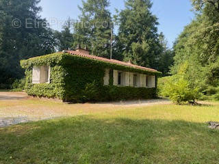 Maison à CHATEAUNEUF-LA-FORET