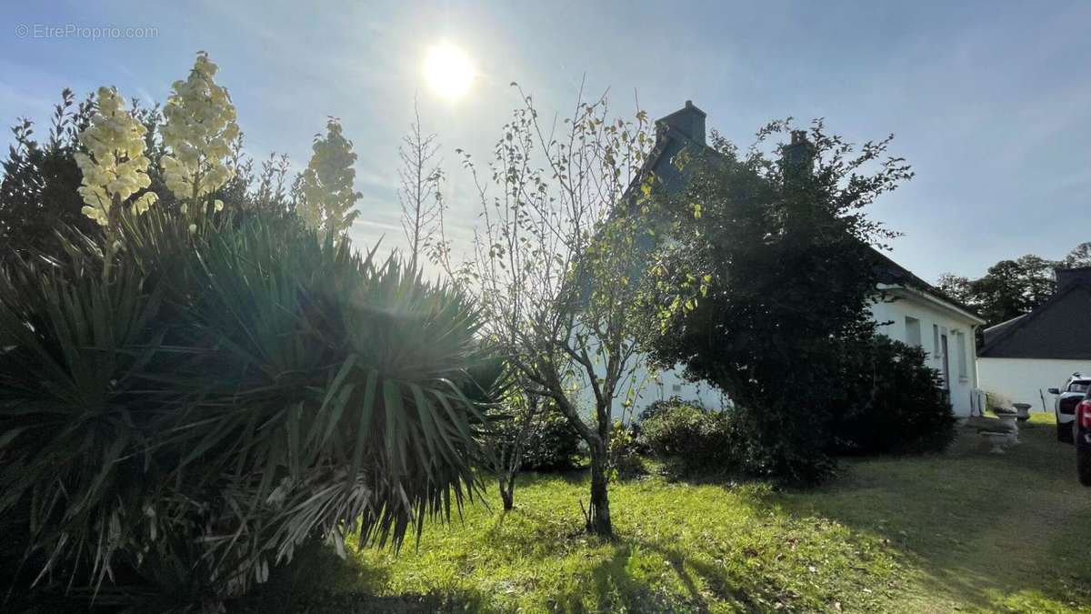 Maison à HENNEBONT