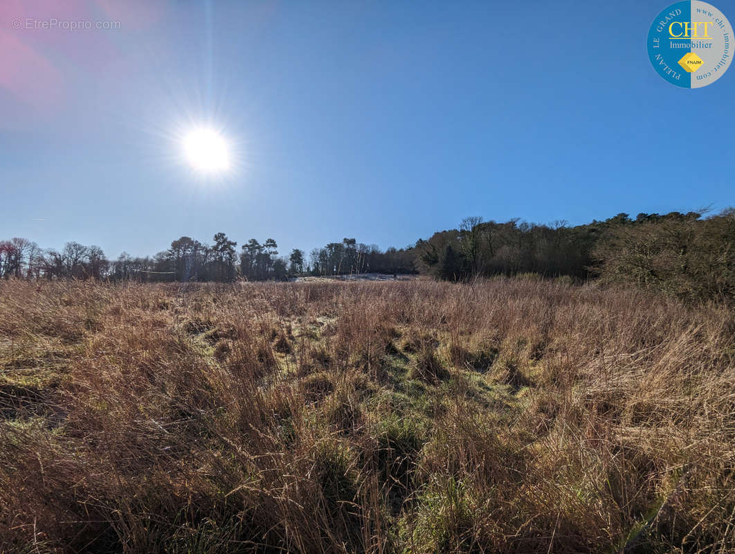 Terrain à BEIGNON