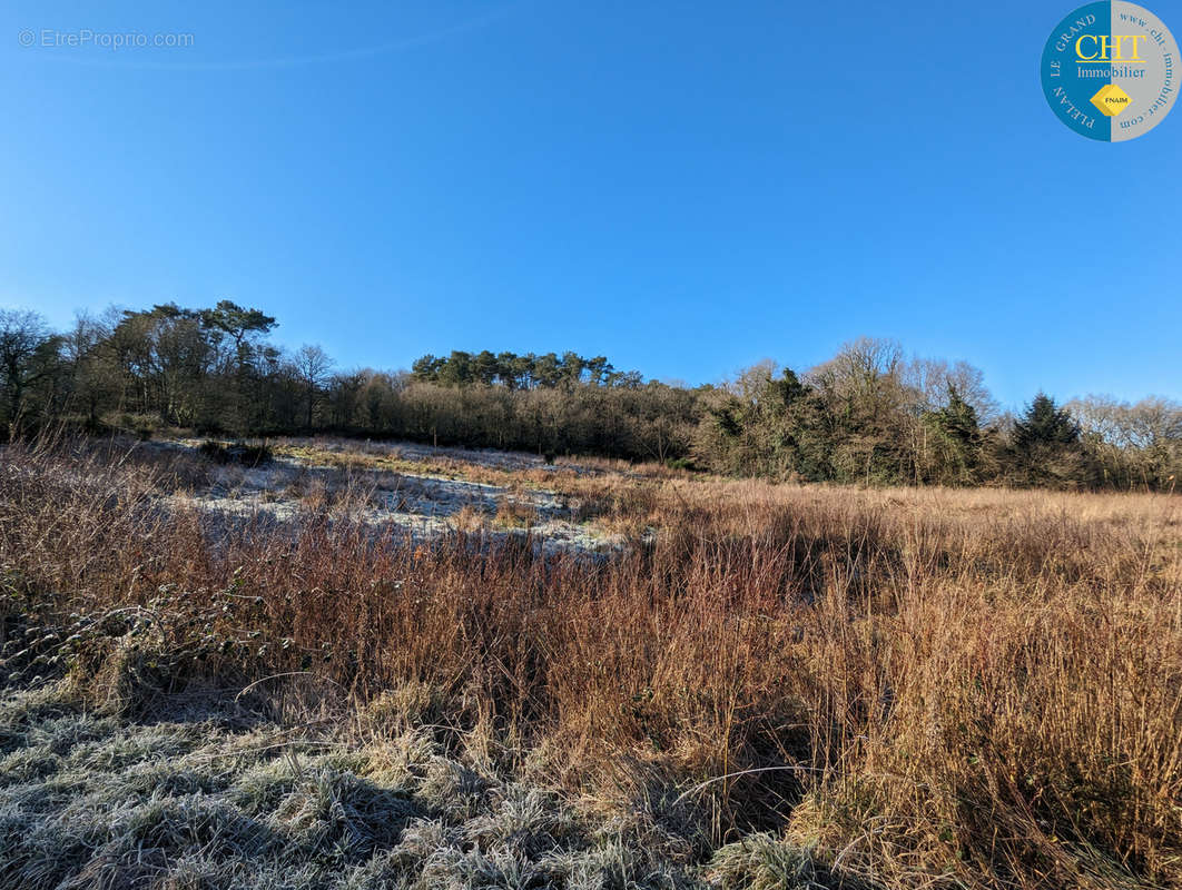 Terrain à BEIGNON