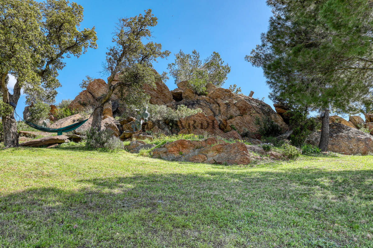 Terrain à BORMES-LES-MIMOSAS