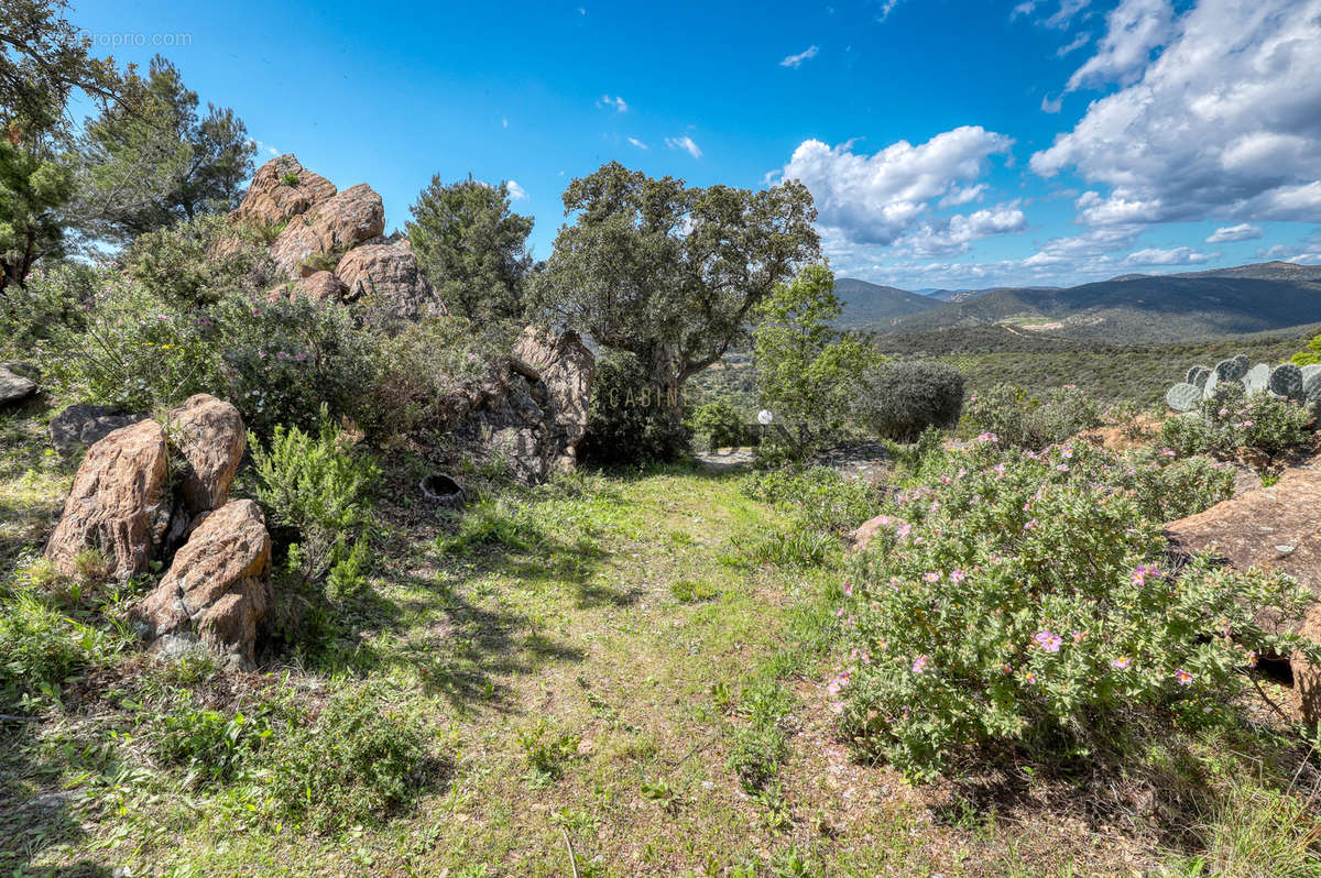 Terrain à BORMES-LES-MIMOSAS