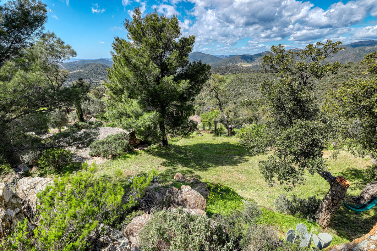 Terrain à BORMES-LES-MIMOSAS