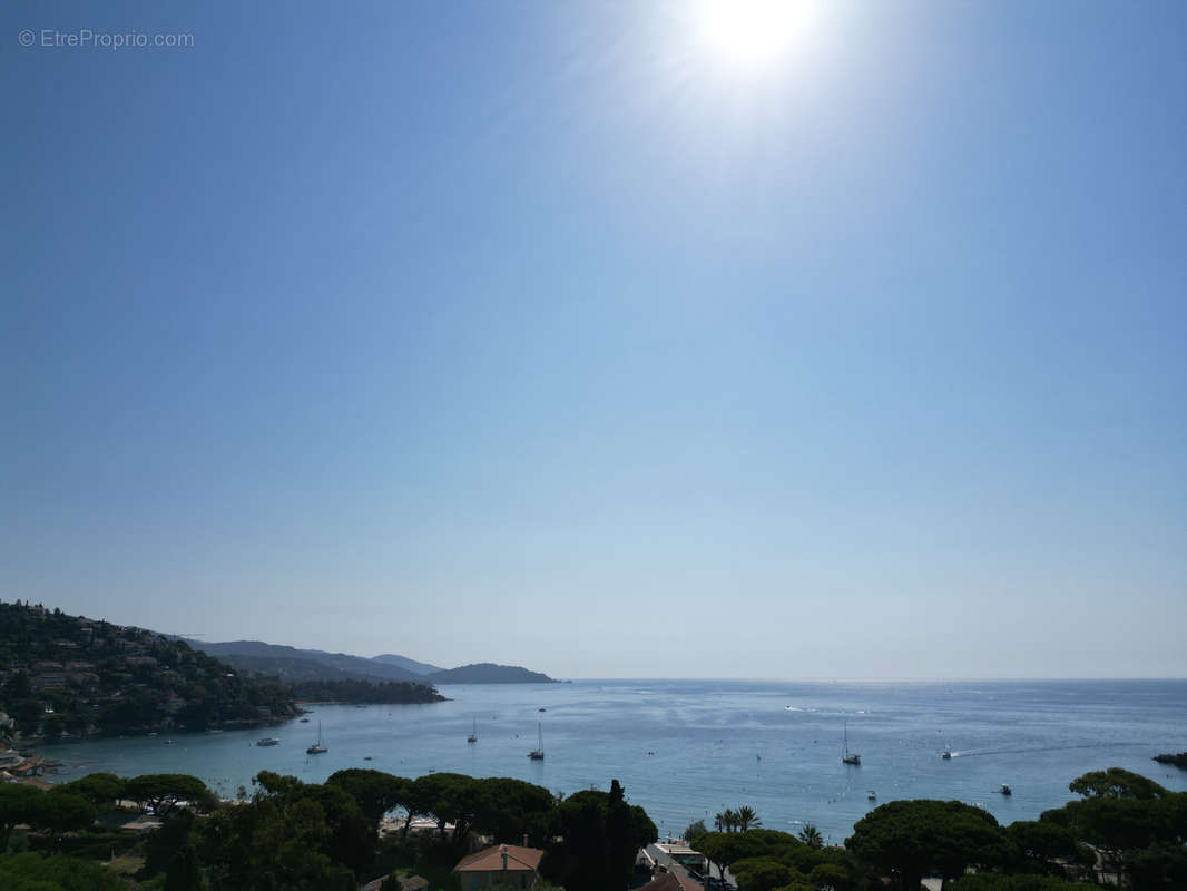 Maison à LE LAVANDOU