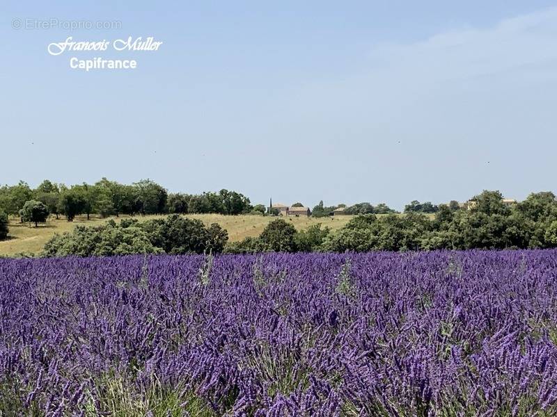 Maison à VALENSOLE