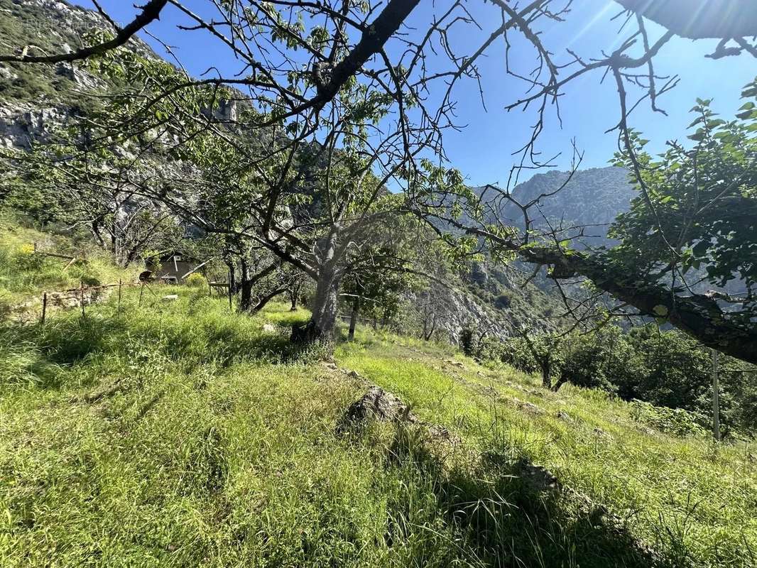 Terrain à GORBIO