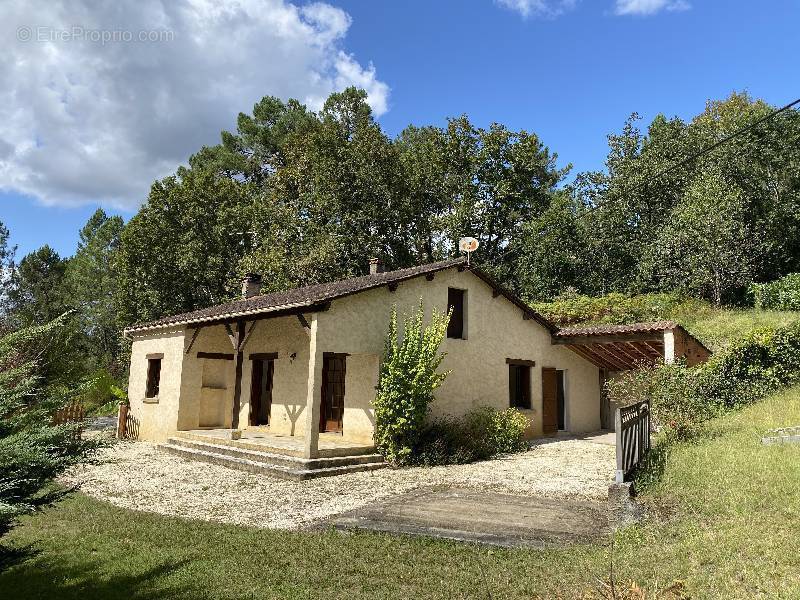 Maison à LE BUISSON-DE-CADOUIN