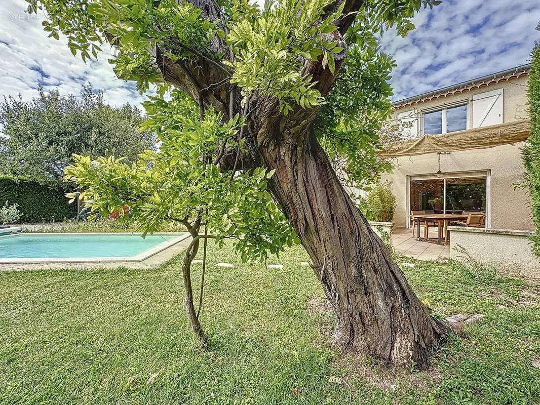 Maison à CARPENTRAS