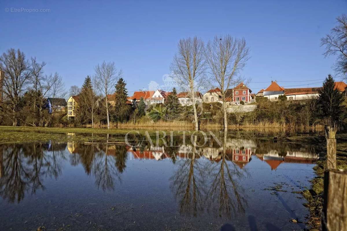 Maison à SELTZ