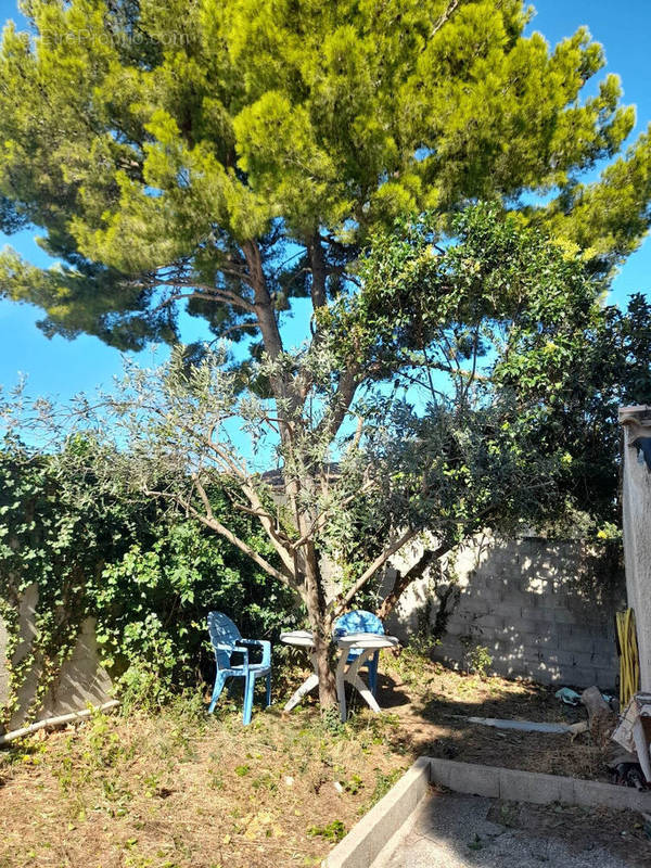 Terrain à SAINT-SATURNIN-LES-AVIGNON