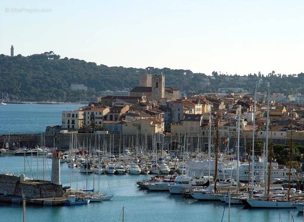 Commerce à ANTIBES