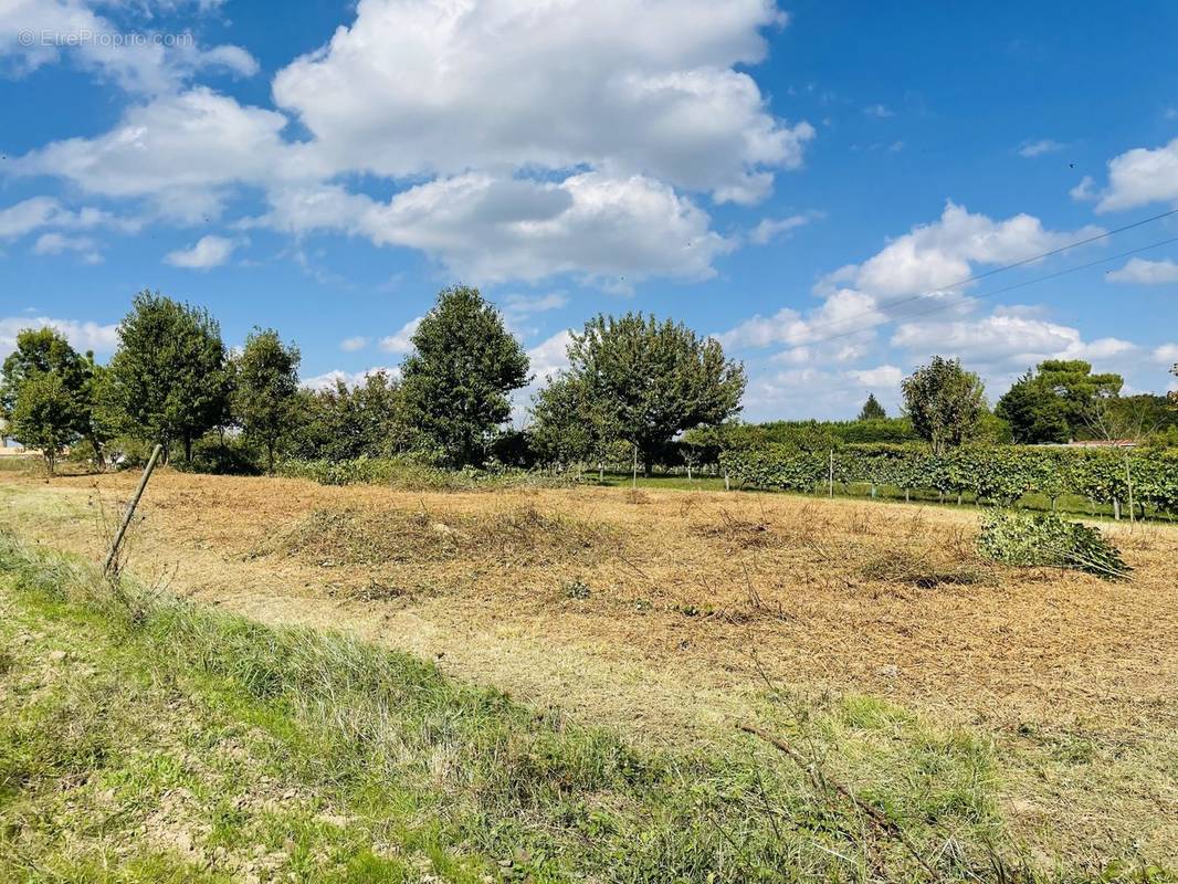 Terrain à LORIGNAC