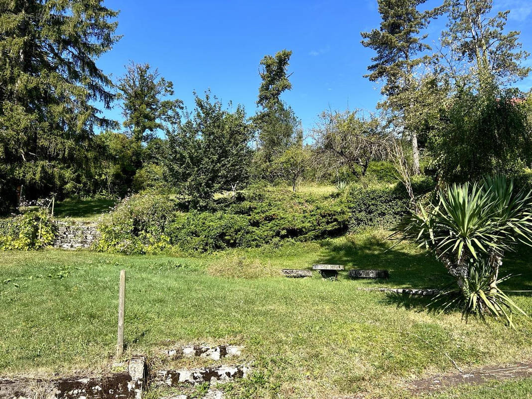 Terrain à MISEREY-SALINES