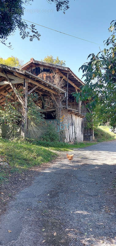 Maison à DURBAN-SUR-ARIZE