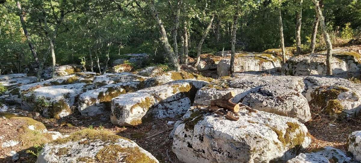 Terrain à SAINT-ALBAN-AURIOLLES