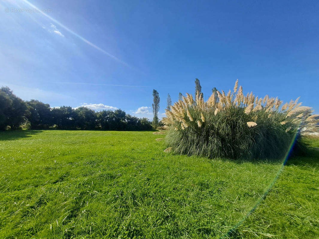 Terrain à TRIGNAC