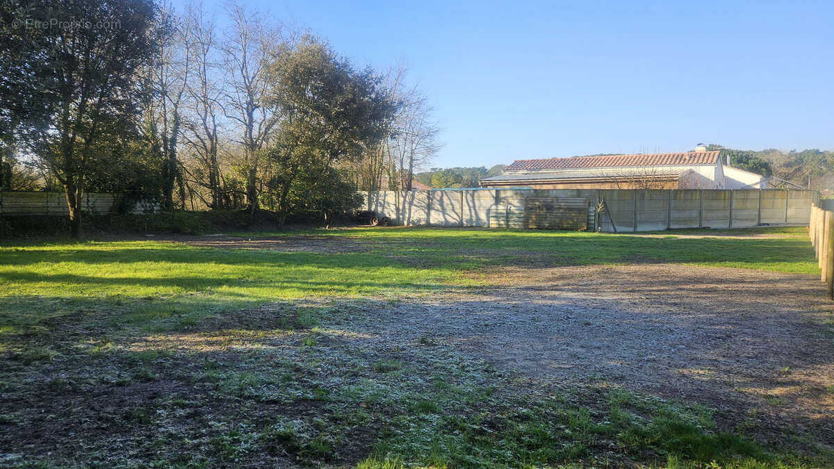 Terrain à NOTRE-DAME-DE-MONTS