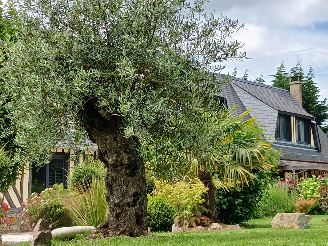 Maison à HONFLEUR