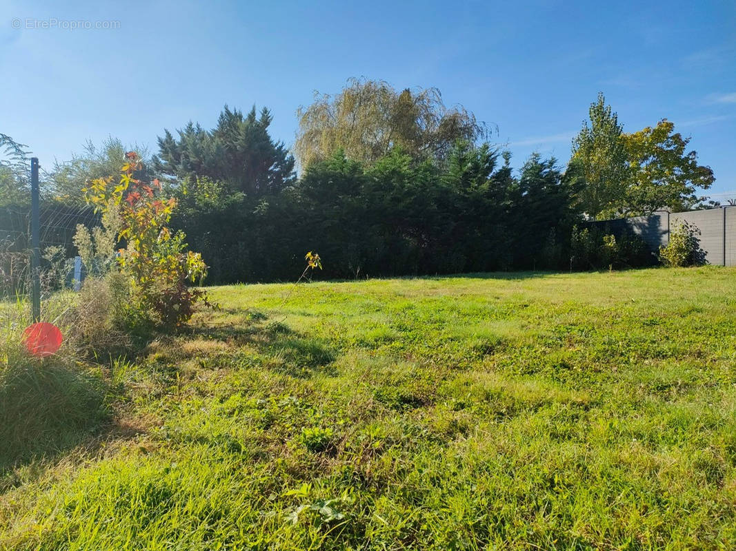 Terrain à HAUTE-GOULAINE