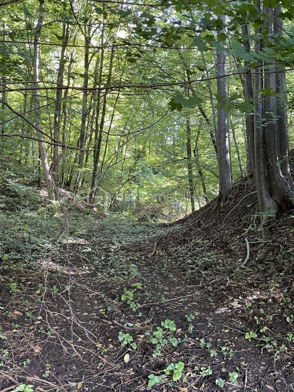 Terrain à AIGLEMONT