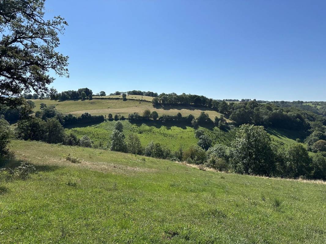 Terrain à SAINT-MARTIN-VALMEROUX