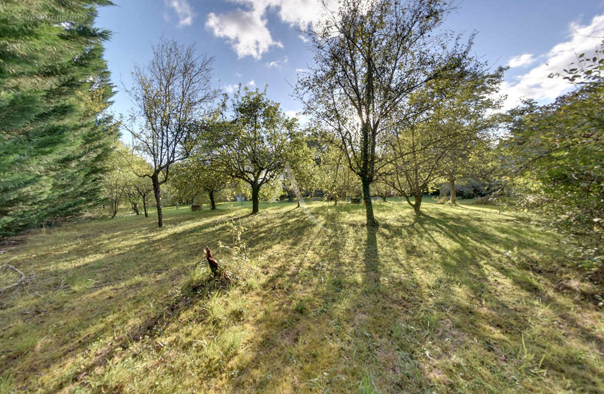 Terrain à AUXERRE