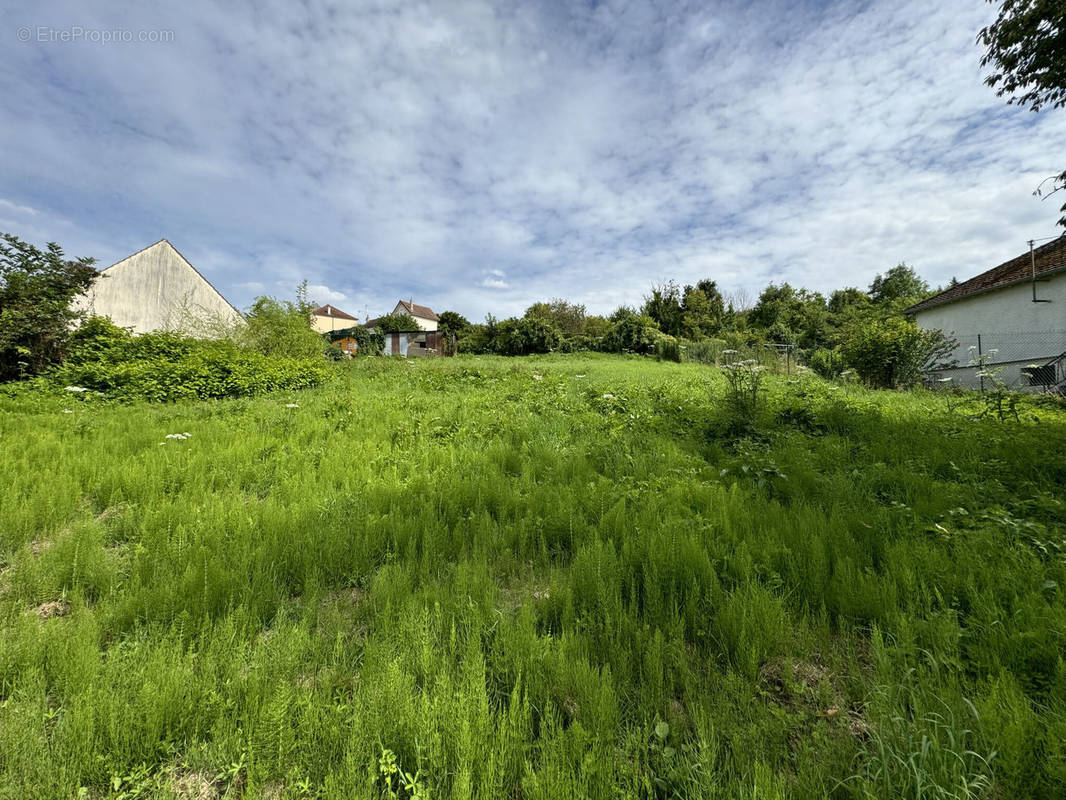 Terrain à ETAMPES-SUR-MARNE