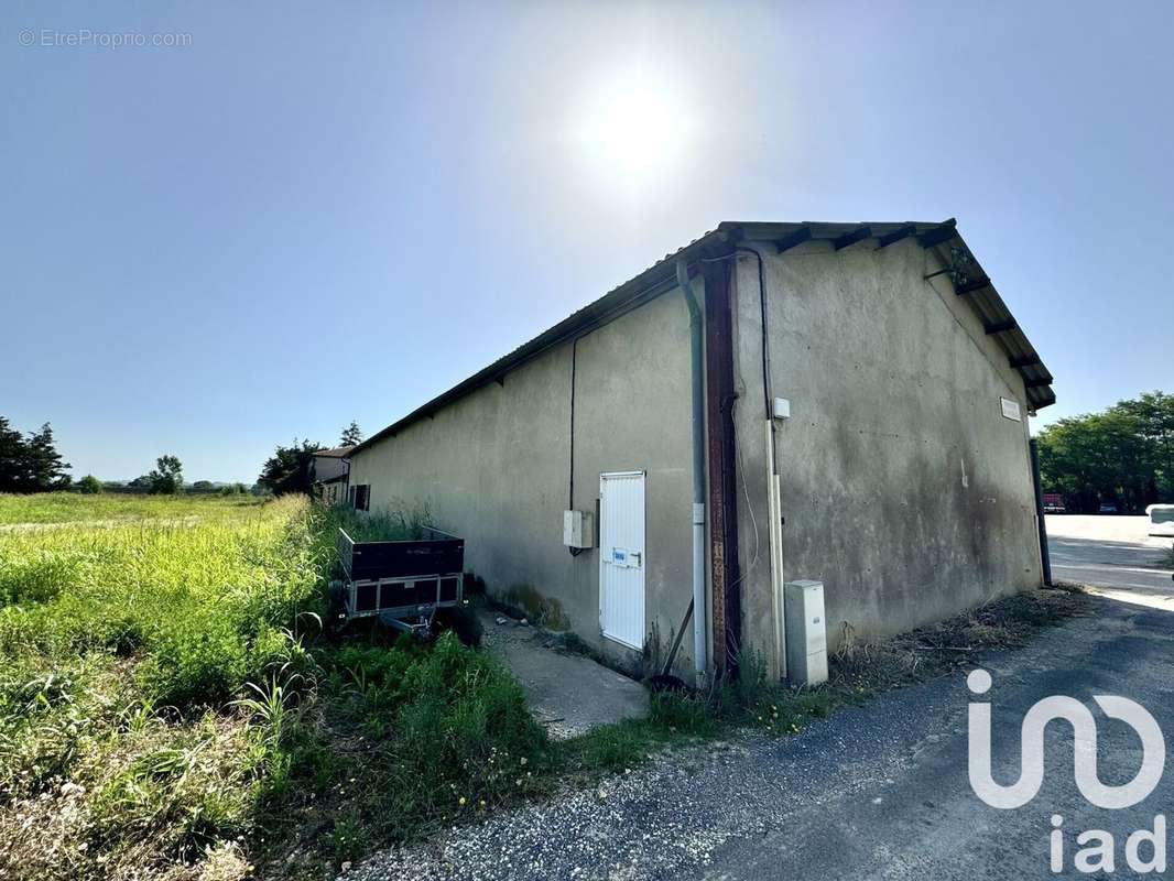 Photo 4 - Appartement à BOUCOIRAN-ET-NOZIERES