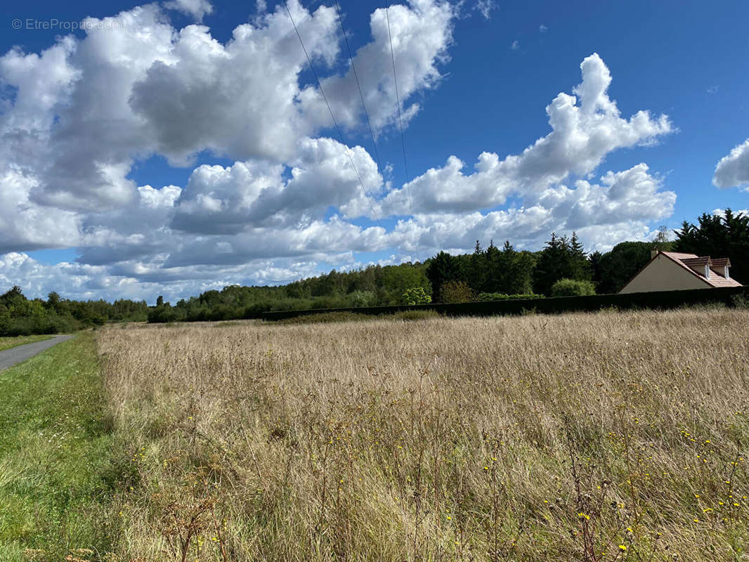 Terrain à CHATILLON-SUR-CHER