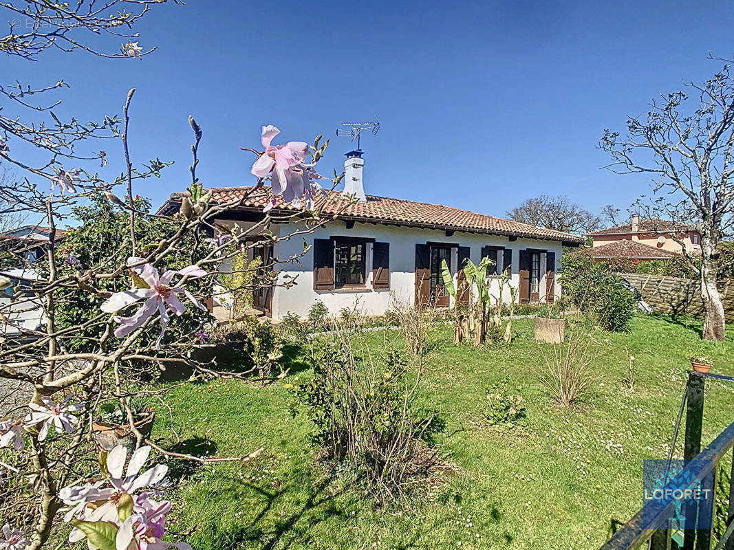 Maison à SAINT-JEAN-DE-MARSACQ