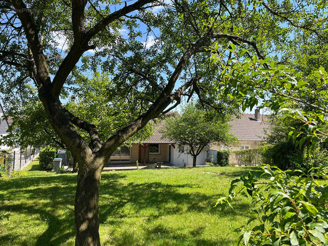 Maison à TERVILLE