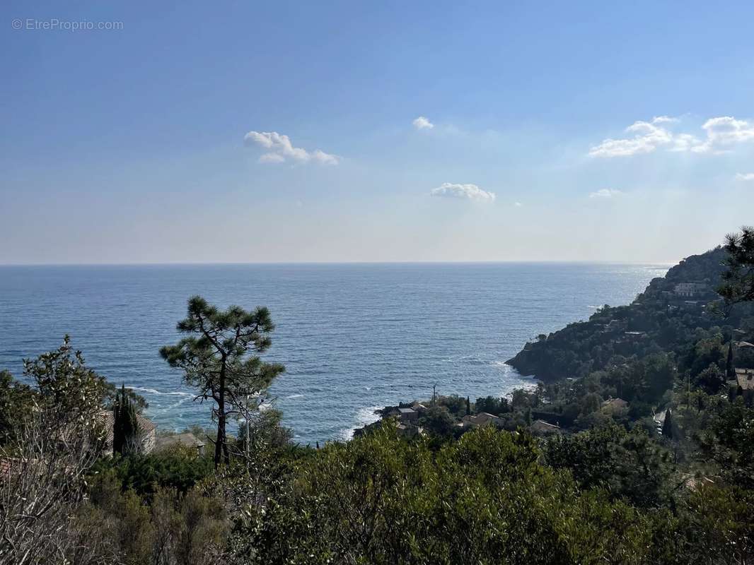 Appartement à THEOULE-SUR-MER