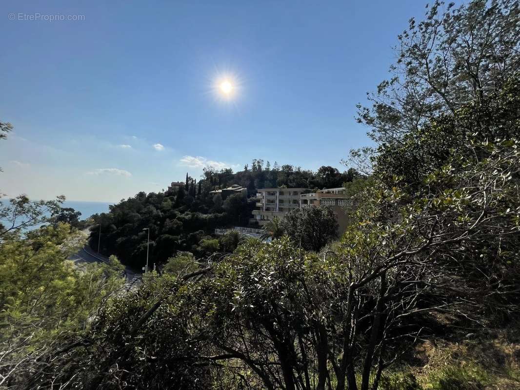 Appartement à THEOULE-SUR-MER