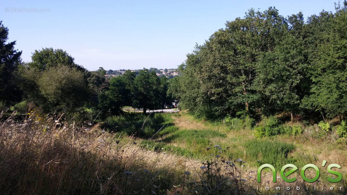 Terrain à TILLIERES