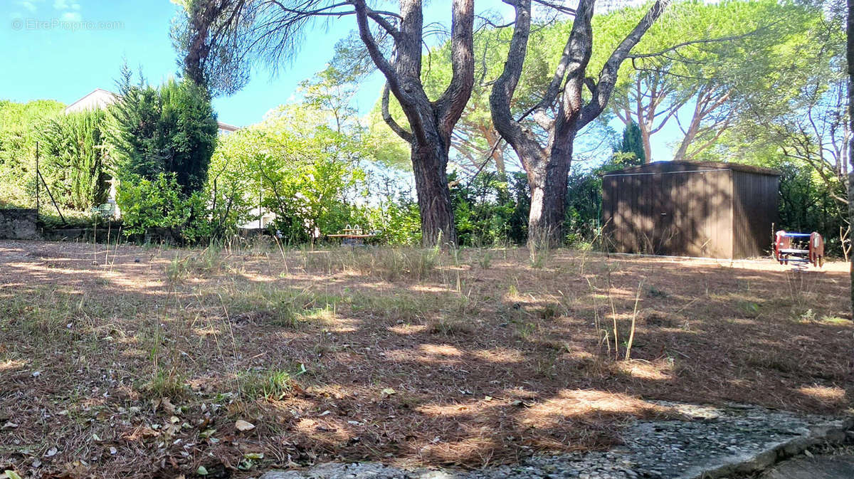 Maison à VAISON-LA-ROMAINE