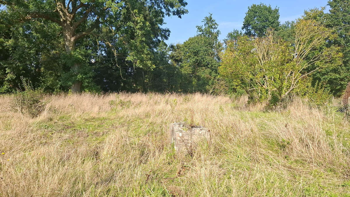 Terrain à LE HAVRE