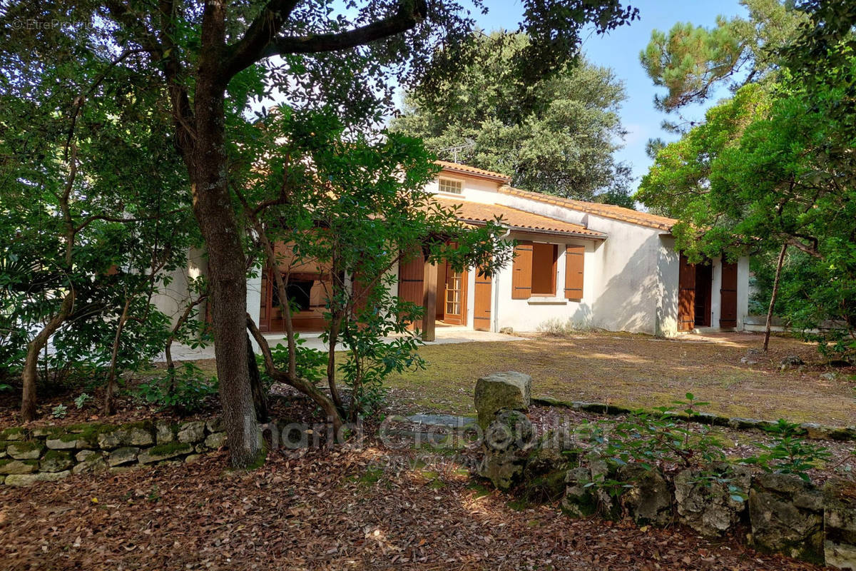 Maison à MESCHERS-SUR-GIRONDE