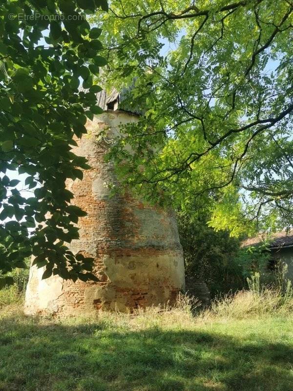 Maison à MONTLAUR