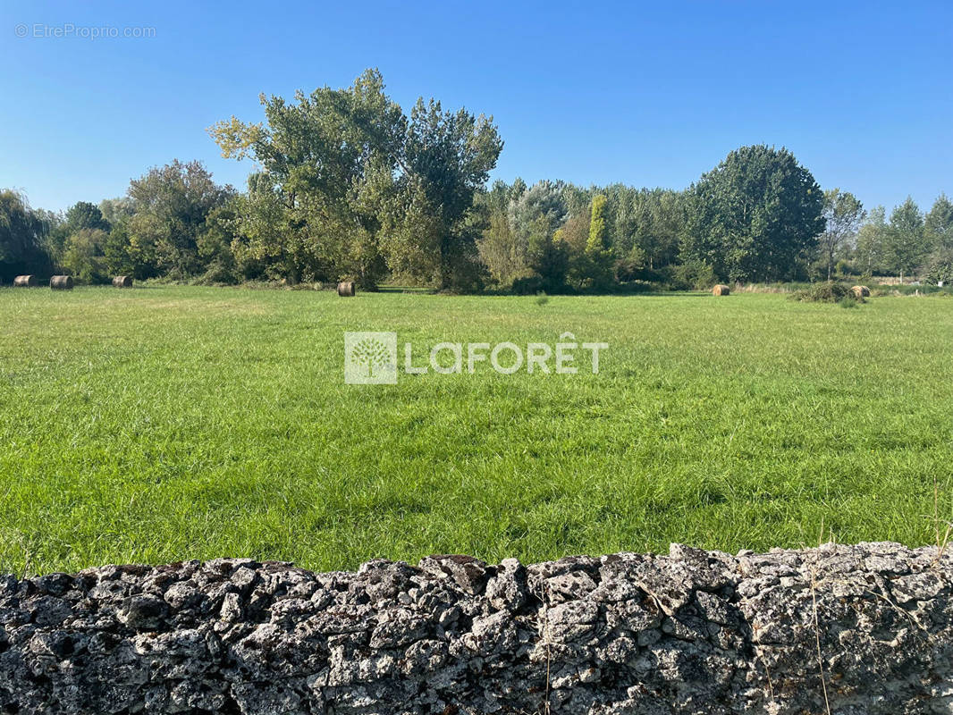 Terrain à ANGLADE